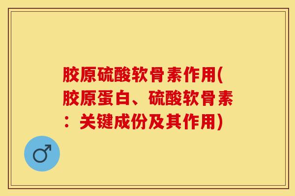 胶原硫酸软骨素作用(胶原蛋白、硫酸软骨素：关键成份及其作用)