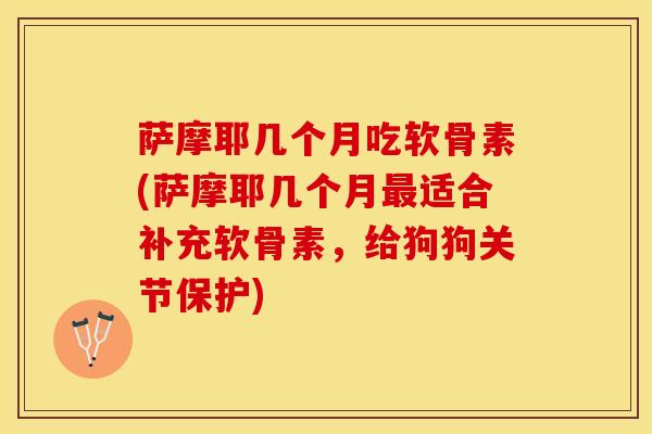 萨摩耶几个月吃软骨素(萨摩耶几个月最适合补充软骨素，给狗狗关节保护)-第1张图片-关节保镖