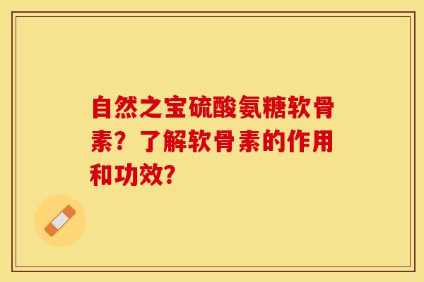 自然之宝硫酸氨糖软骨素？了解软骨素的作用和功效？