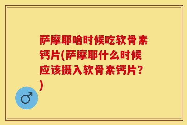 萨摩耶啥时候吃软骨素钙片(萨摩耶什么时候应该摄入软骨素钙片？)