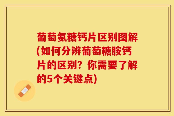 葡萄氨糖钙片区别图解(如何分辨葡萄糖胺钙片的区别？你需要了解的5个关键点)