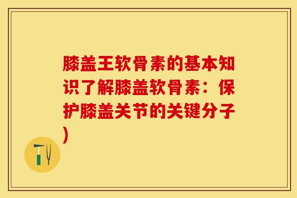 膝盖王软骨素的基本知识了解膝盖软骨素：保护膝盖关节的关键分子)