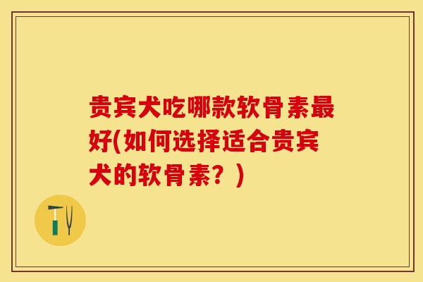 贵宾犬吃哪款软骨素最好(如何选择适合贵宾犬的软骨素？)