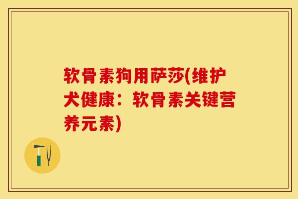 软骨素狗用萨莎(维护犬健康：软骨素关键营养元素)