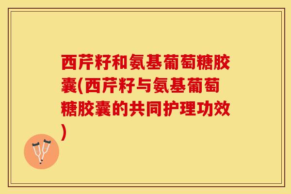 西芹籽和氨基葡萄糖胶囊(西芹籽与氨基葡萄糖胶囊的共同护理功效)