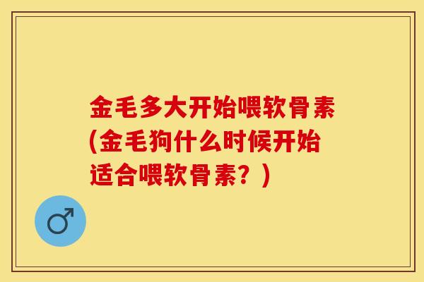 金毛多大开始喂软骨素(金毛狗什么时候开始适合喂软骨素？)