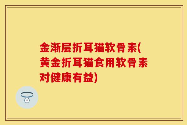 金渐层折耳猫软骨素(黄金折耳猫食用软骨素对健康有益)