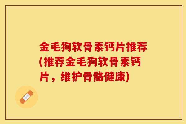 金毛狗软骨素钙片推荐(推荐金毛狗软骨素钙片，维护骨骼健康)