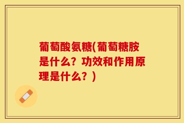葡萄酸氨糖(葡萄糖胺是什么？功效和作用原理是什么？)