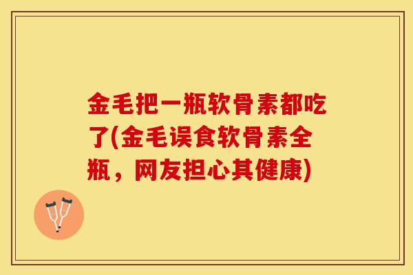 金毛把一瓶软骨素都吃了(金毛误食软骨素全瓶，网友担心其健康)