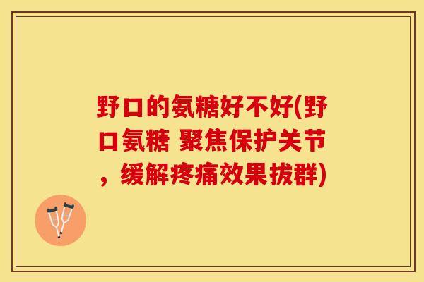 野口的氨糖好不好(野口氨糖 聚焦保护关节，缓解疼痛效果拔群)