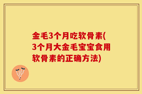 金毛3个月吃软骨素(3个月大金毛宝宝食用软骨素的正确方法)