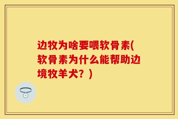 边牧为啥要喂软骨素(软骨素为什么能帮助边境牧羊犬？)