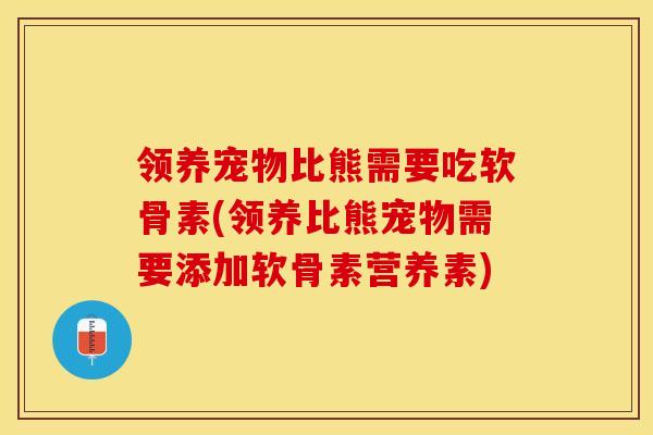 领养宠物比熊需要吃软骨素(领养比熊宠物需要添加软骨素营养素)