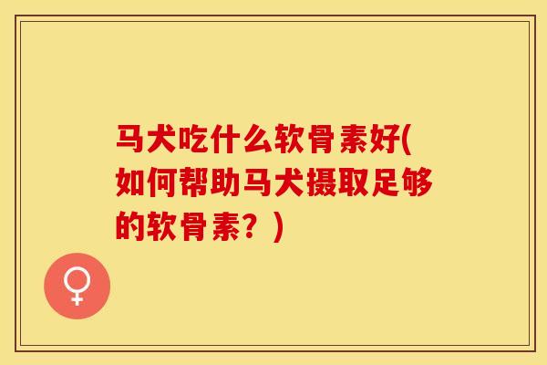 马犬吃什么软骨素好(如何帮助马犬摄取足够的软骨素？)-第1张图片-关节保镖