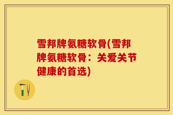 雪邦牌氨糖软骨(雪邦牌氨糖软骨：关爱关节健康的首选)