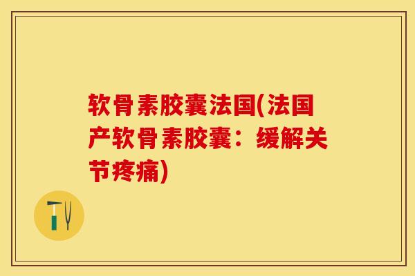 软骨素胶囊法国(法国产软骨素胶囊：缓解关节疼痛)