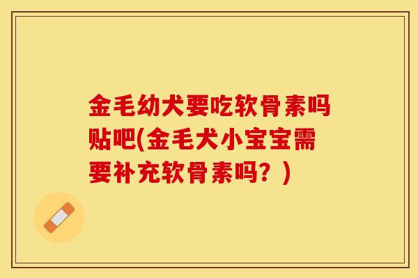 金毛幼犬要吃软骨素吗贴吧(金毛犬小宝宝需要补充软骨素吗？)-第1张图片-关节保镖