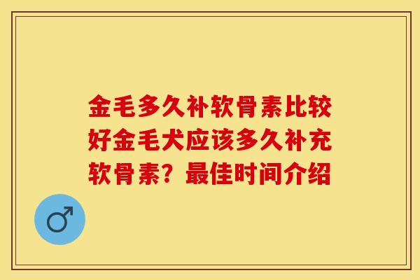 金毛多久补软骨素比较好金毛犬应该多久补充软骨素？最佳时间介绍