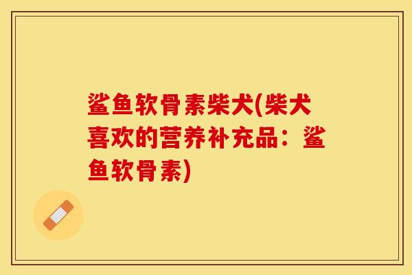 鲨鱼软骨素柴犬(柴犬喜欢的营养补充品：鲨鱼软骨素)