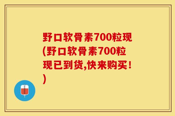 野口软骨素700粒现(野口软骨素700粒现已到货,快来购买！)