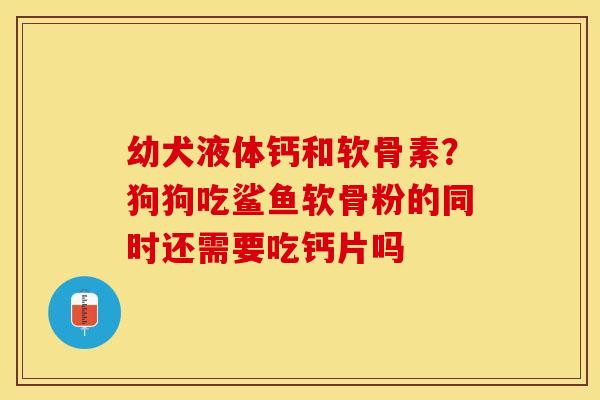 幼犬液体钙和软骨素？狗狗吃鲨鱼软骨粉的同时还需要吃钙片吗