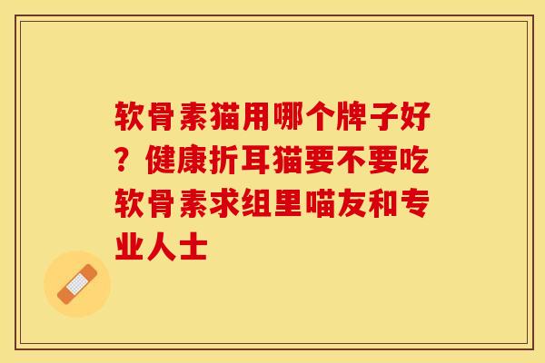 软骨素猫用哪个牌子好？健康折耳猫要不要吃软骨素求组里喵友和专业人士