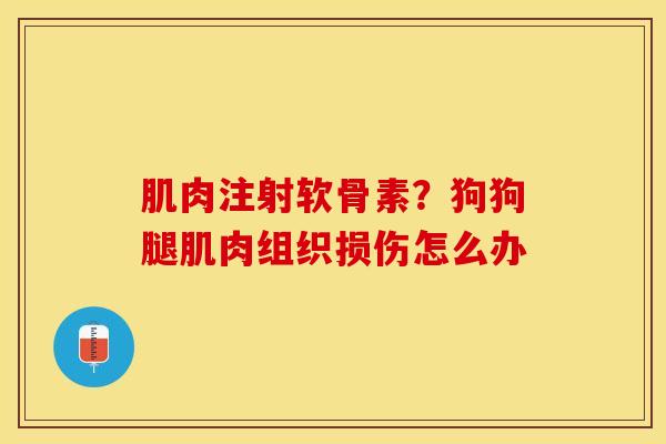 肌肉注射软骨素？狗狗腿肌肉组织损伤怎么办
