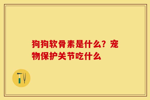 狗狗软骨素是什么？宠物保护关节吃什么