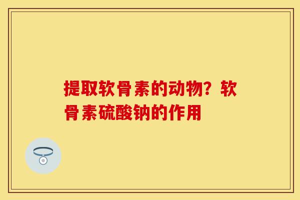 提取软骨素的动物？软骨素硫酸钠的作用