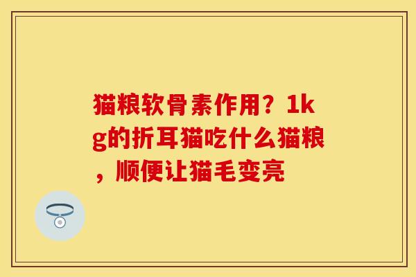 猫粮软骨素作用？1kg的折耳猫吃什么猫粮，顺便让猫毛变亮