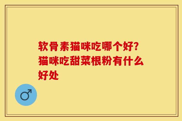 软骨素猫咪吃哪个好？猫咪吃甜菜根粉有什么好处