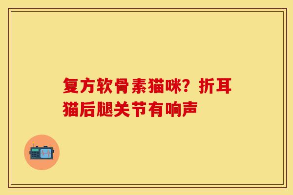 复方软骨素猫咪？折耳猫后腿关节有响声