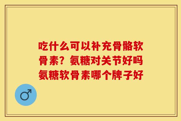 吃什么可以补充骨骼软骨素？氨糖对关节好吗氨糖软骨素哪个牌子好