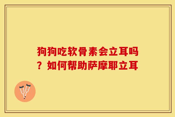 狗狗吃软骨素会立耳吗?如何帮助萨摩耶立耳-第1张图片-关节保镖 狗狗吃软骨素会立耳吗?如何帮助萨摩耶立耳-第1张图片-关节保镖