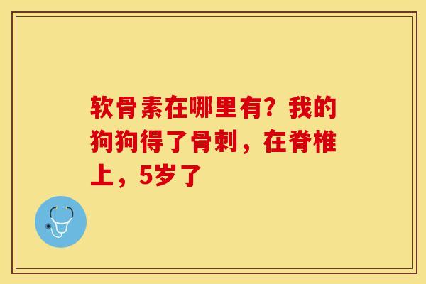 软骨素在哪里有？我的狗狗得了骨刺，在脊椎上，5岁了