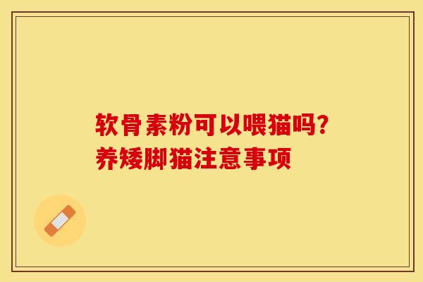 软骨素粉可以喂猫吗?养矮脚猫注意事项-第1张图片-关节保镖 软骨素粉可以喂猫吗?养矮脚猫注意事项-第1张图片-关节保镖