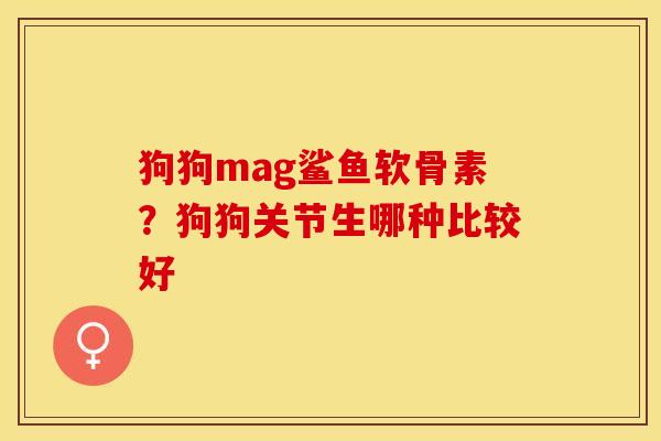 狗狗mag鲨鱼软骨素？狗狗关节生哪种比较好