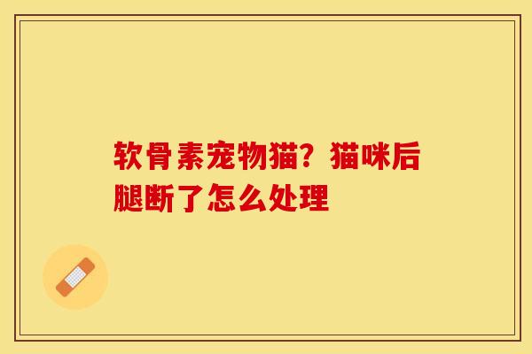 软骨素宠物猫？猫咪后腿断了怎么处理