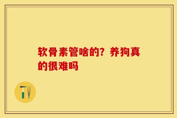 软骨素管啥的？养狗真的很难吗