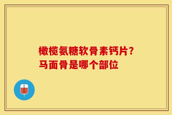 橄榄氨糖软骨素钙片？马面骨是哪个部位