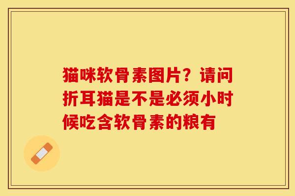 猫咪软骨素图片？请问折耳猫是不是必须小时候吃含软骨素的粮有