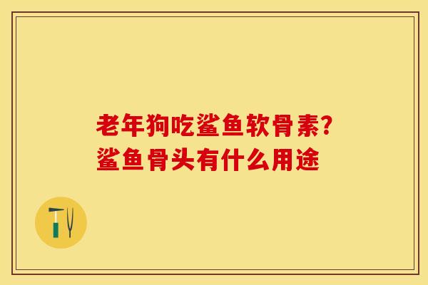老年狗吃鲨鱼软骨素？鲨鱼骨头有什么用途