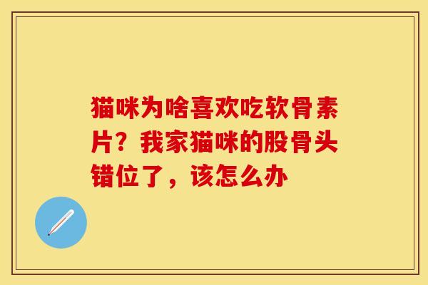 猫咪为啥喜欢吃软骨素片？我家猫咪的股骨头错位了，该怎么办
