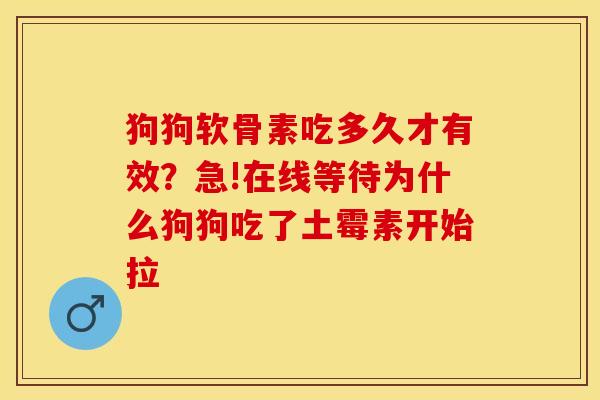 狗狗软骨素吃多久才有效？急!在线等待为什么狗狗吃了土霉素开始拉