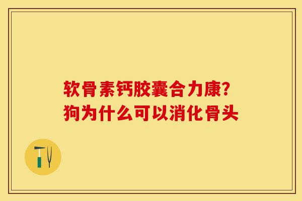 软骨素钙胶囊合力康？狗为什么可以消化骨头