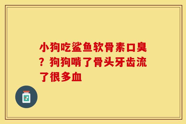 小狗吃鲨鱼软骨素口臭？狗狗啃了骨头牙齿流了很多血