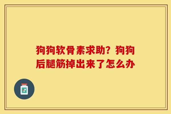 狗狗软骨素求助？狗狗后腿筋掉出来了怎么办-第1张图片-关节保镖