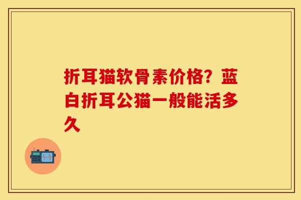 折耳猫软骨素价格？蓝白折耳公猫一般能活多久