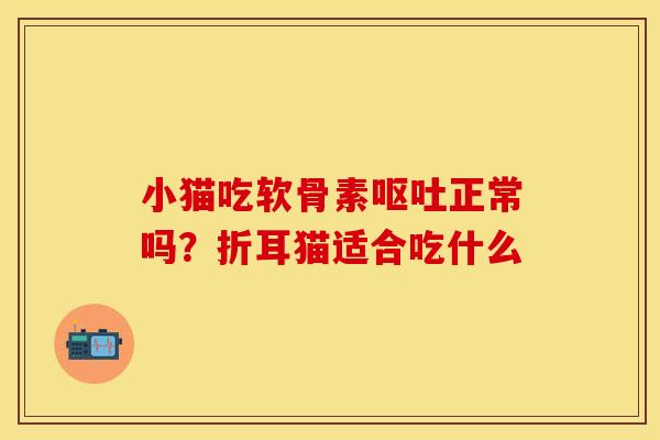 小猫吃软骨素呕吐正常吗？折耳猫适合吃什么